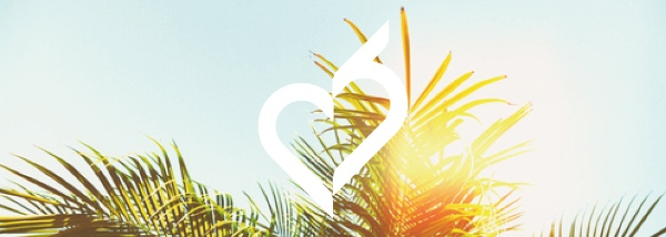 Heartcore Summer Logo