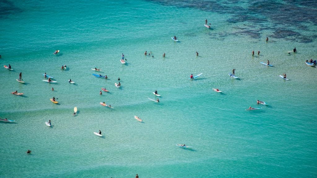 Oahu surfers