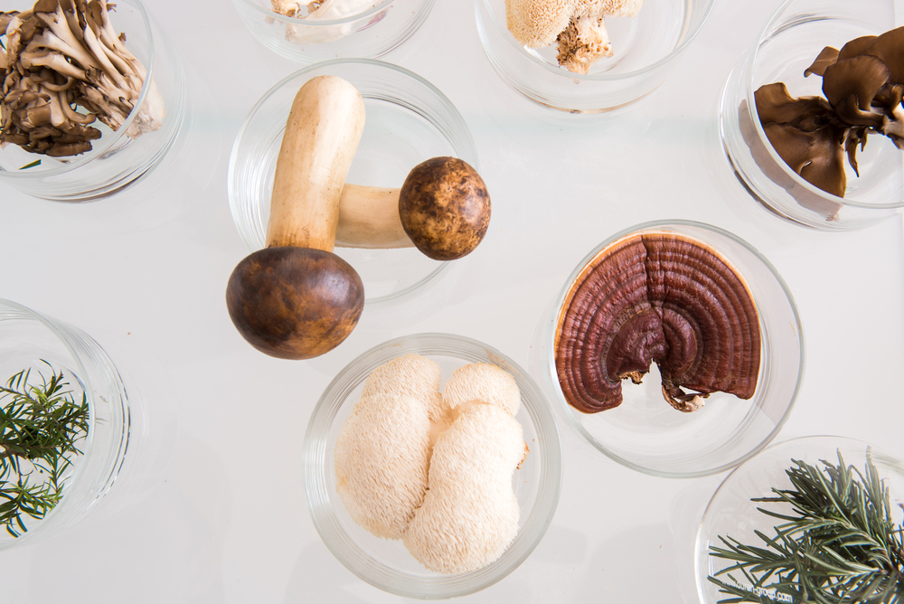 Shroomin’ Marvelous - Why Mushrooms Are An Underrated Superfood