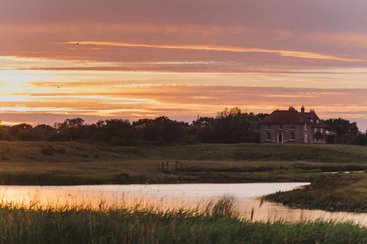 An Escape In Nature at Elmley Nature Reserve