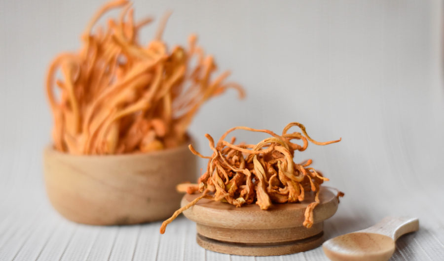Have You Ever Tried Cordyceps? 5 Health Benefits To Know