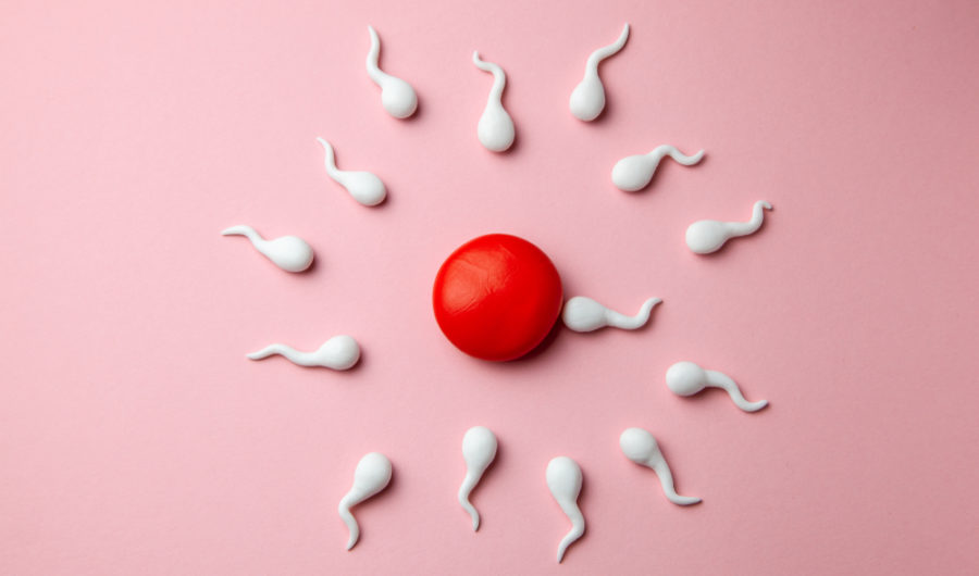 Your Fertility Questions Answered...