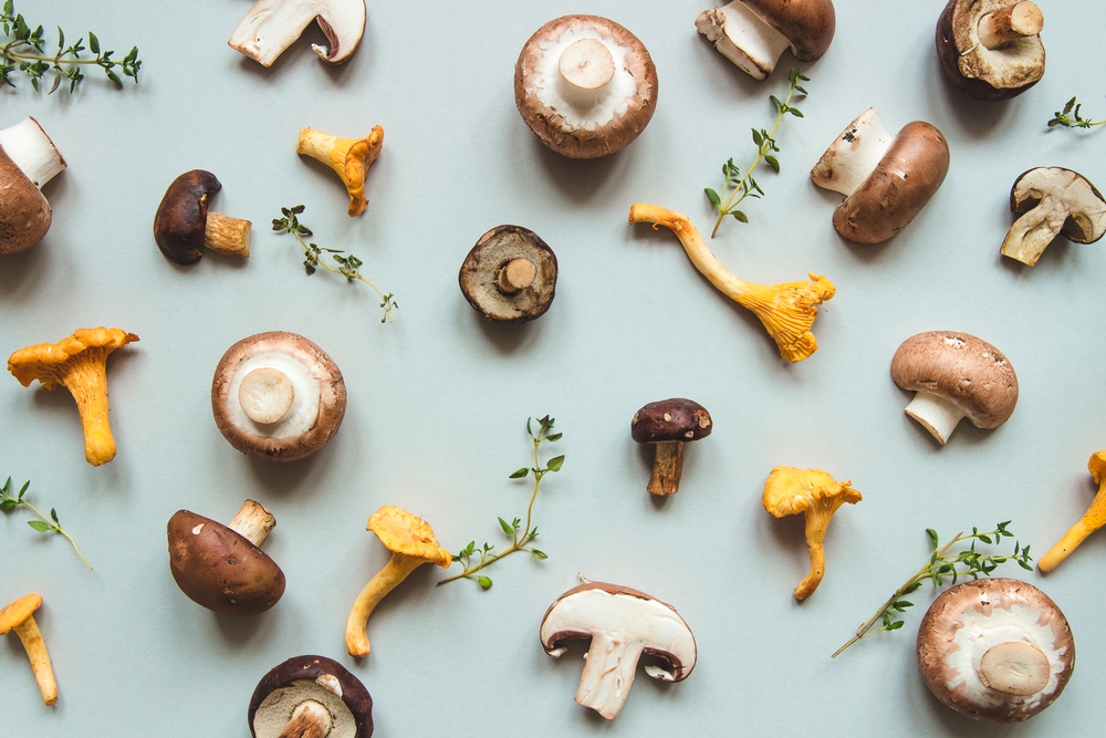 Should We Be Popping Mushrooms For A Better Night's Sleep?