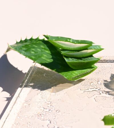 Why Aloe Is The Skincare Ingredient Of The Moment
