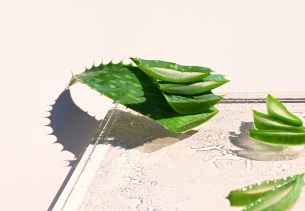 Why Aloe Is The Skincare Ingredient Of The Moment