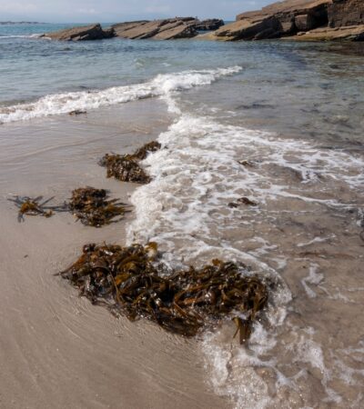 "I Went To Ireland To Try Traditional Seaweed Bathing"