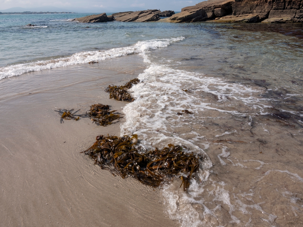 "I Went To Ireland To Try Traditional Seaweed Bathing"