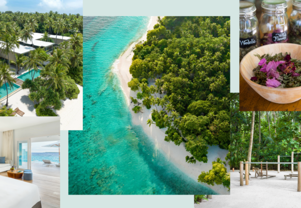 Amilla Maldives - The Ultimate Far-Flung Wellness Destination