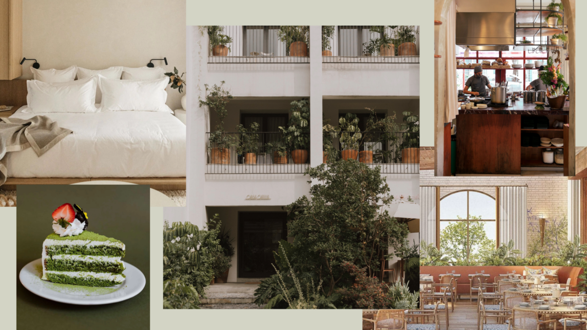 Hip & Healthy Guide To Mexico City