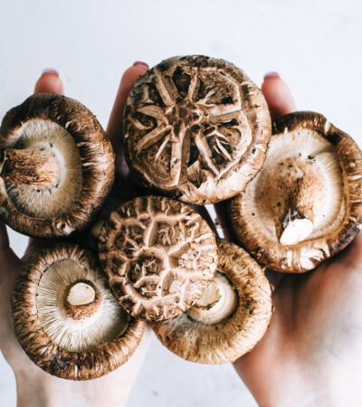 mushroom health