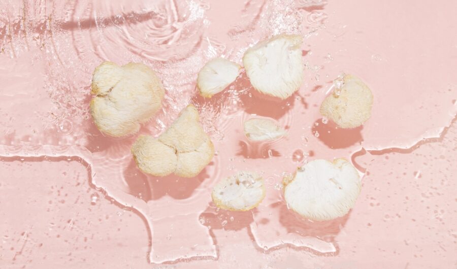 The Adaptogenic Mushroom That Could Help ADHD, Brain Fog and Burnout